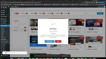Profixer Theme demo import video tutorial