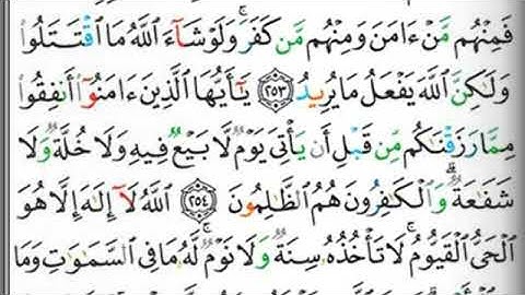 مصحف التجويد الصفحة 42 محمد صديق المنشاوي