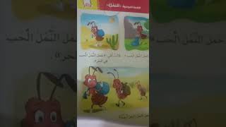 شرح درس النمل للصف الأول الإبتدائي ( لغويات وتدريبات )