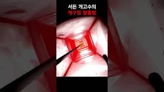 추억의 서든어택이 생각나는 게임 #공포게임 #공포 #피아노사우르스