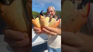 Eating This Crab Will Get You Arrested... 🚔