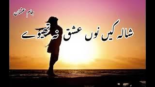 Slowed and Reverb Shala Kain Nu Ishq Na Theway | Hai Matlib Di Yaari Sonia Khan | Ansaar Khan |