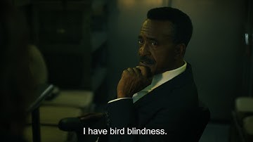 Peacemaker: S02E02 - Bird Blindness