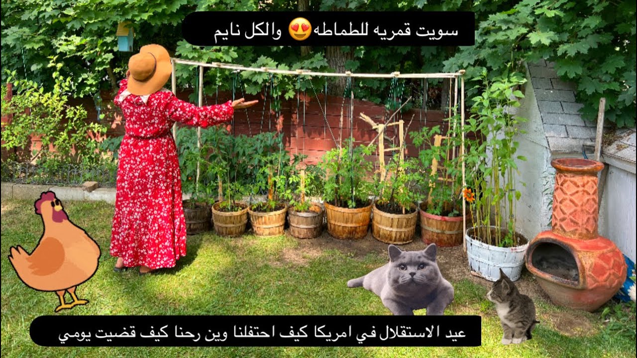 ما جاني نوم 🥹من الفجر طالعه أول مره العب ألگولف 🤦‍♂️محل جديد في أمريكا فطور 🥞 وغذاء كبه ح🌧️ #shorts