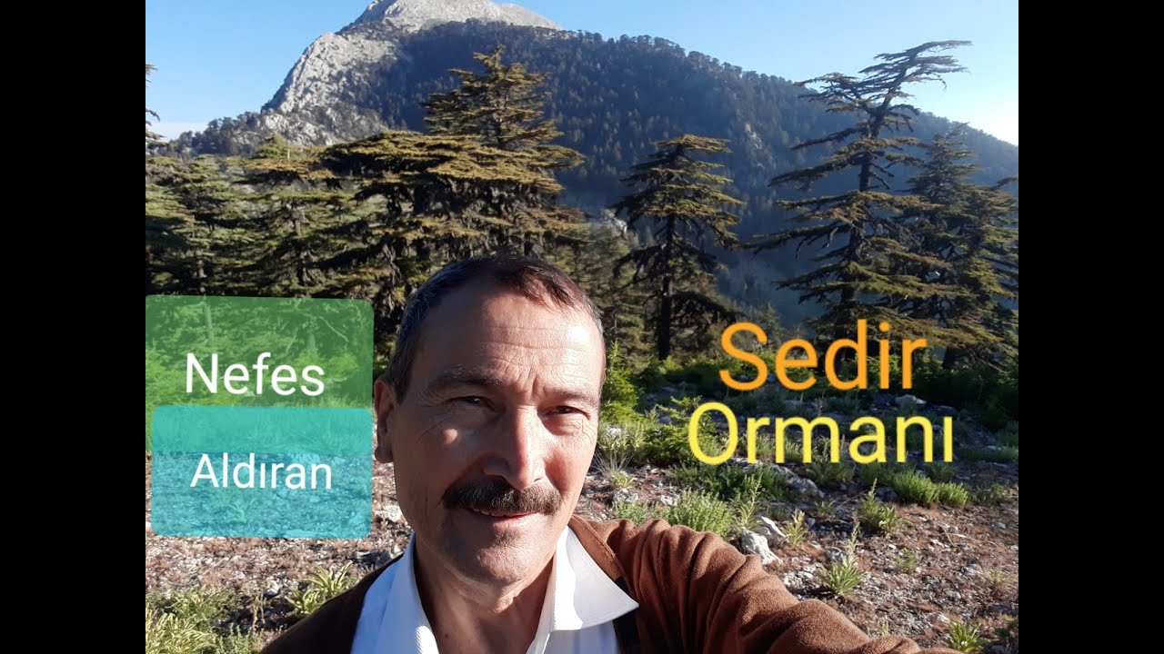 Asırlara Meydan Okuyan, Sedir (Katran) Ormanı ve Teke Dağı 1, Gödene,Altınyaka, Antalya