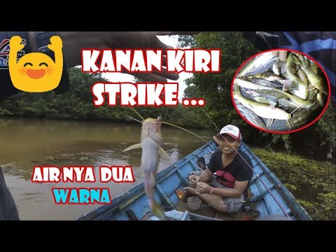 strike-tiada-henti-mancing-ikan-baung-di-perbatasan-air-hitam-dan-putih-#68