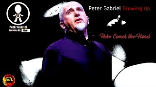 01. PETER GABRIEL * 2003 * Here Comes the Flood * MILAN * FILA FORUM * ITALY  (Video-Official DVD) screenshot 4