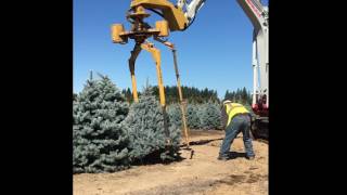 Tree Tyer