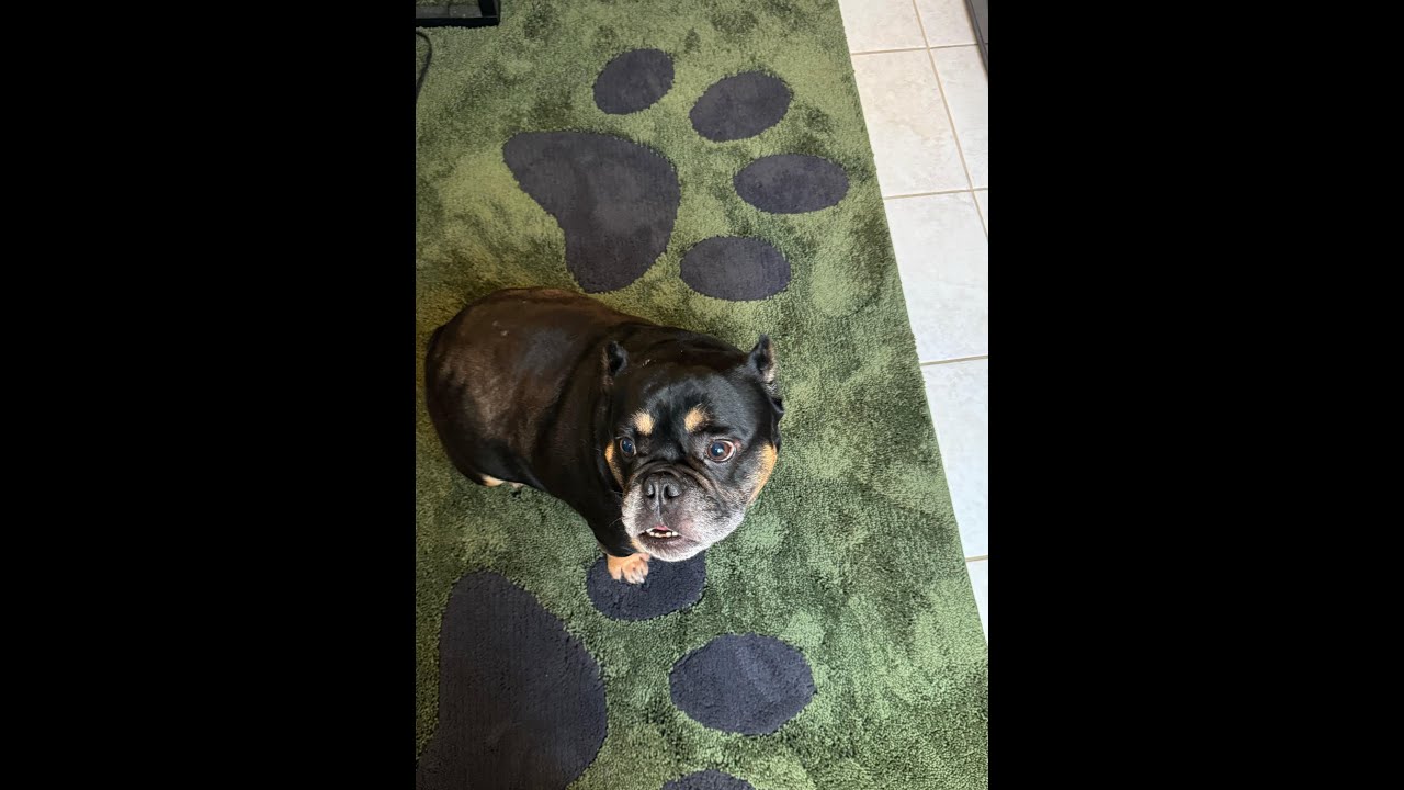 Dirt Trapping Door Mat 