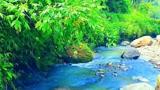 Nature Sounds waterfall River relaxing meditationrelaxing Calm River Water Flow For Sleeping