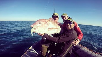 Jigging a la Carta. Xipi JLC®