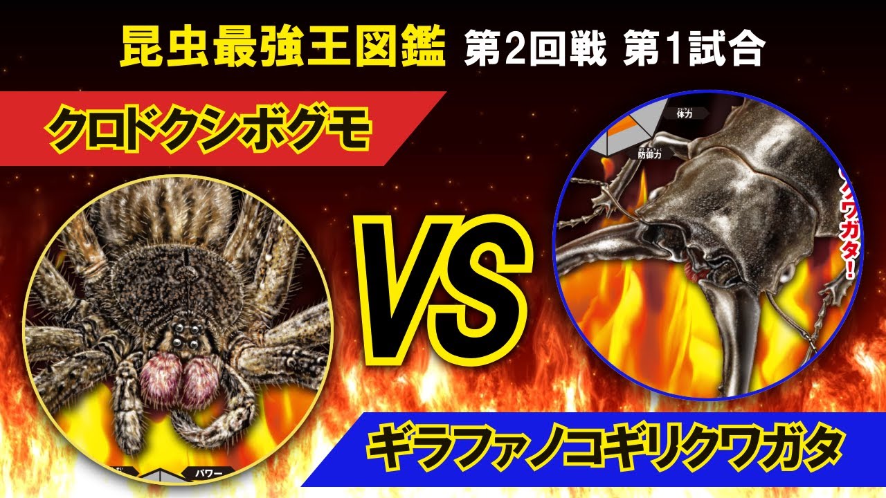 昆虫最強王図鑑第２回戦1試合 Youtube