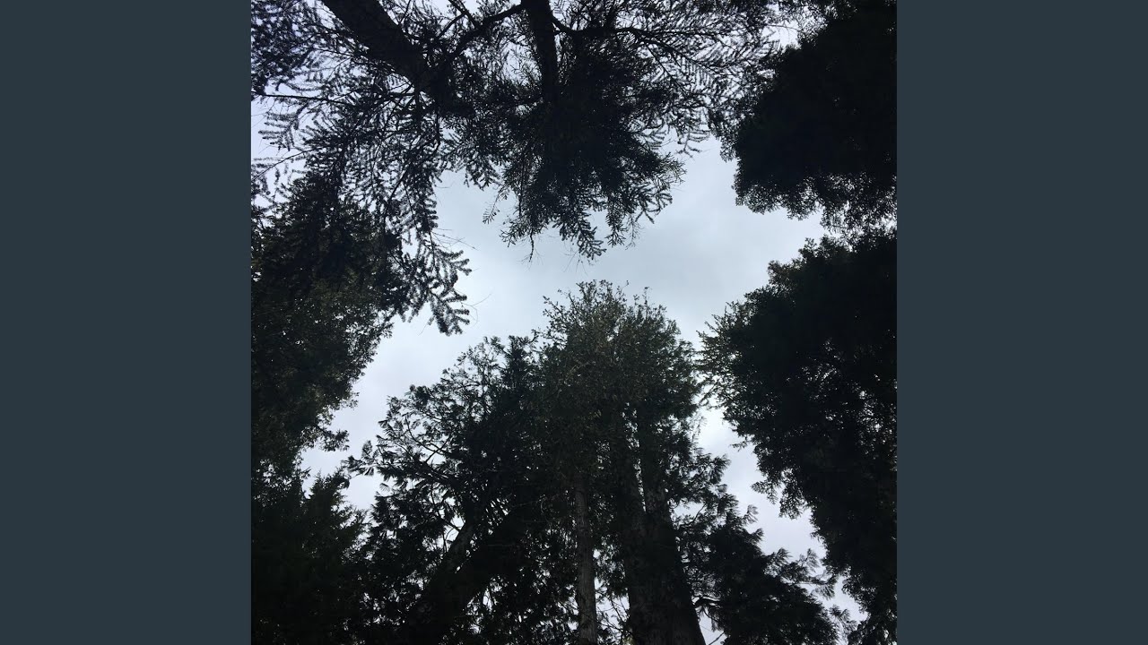 Watch Capillary Action! on YouTube Watch Capillary Action! on YouTube