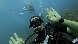 Discovery Divers Nov. 19, 2024 Sail Rock Trip