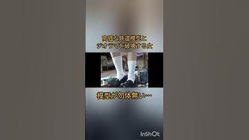 鉄道模型を破壊する女…#shorts #鉄道模型 #nゲージ