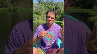 Beat Histamine Intolerance In 3 Steps