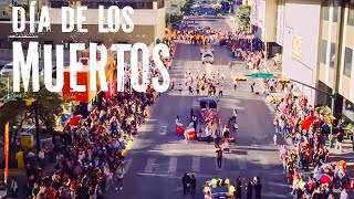 Our First Día de los Muertos Festival 🇲🇽 A Fascinating Mexican Tradition