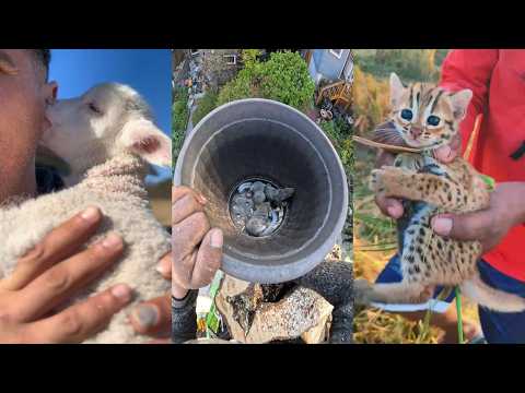 Love for the Weak #animals #rescue #love #lovestory #wildlife #wildliferescue #cute #pets #funny