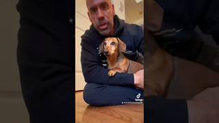 Does Your Dog Do This? #dogtips #doghealth #dogshorts #veterinarian #petshorts #newjersey