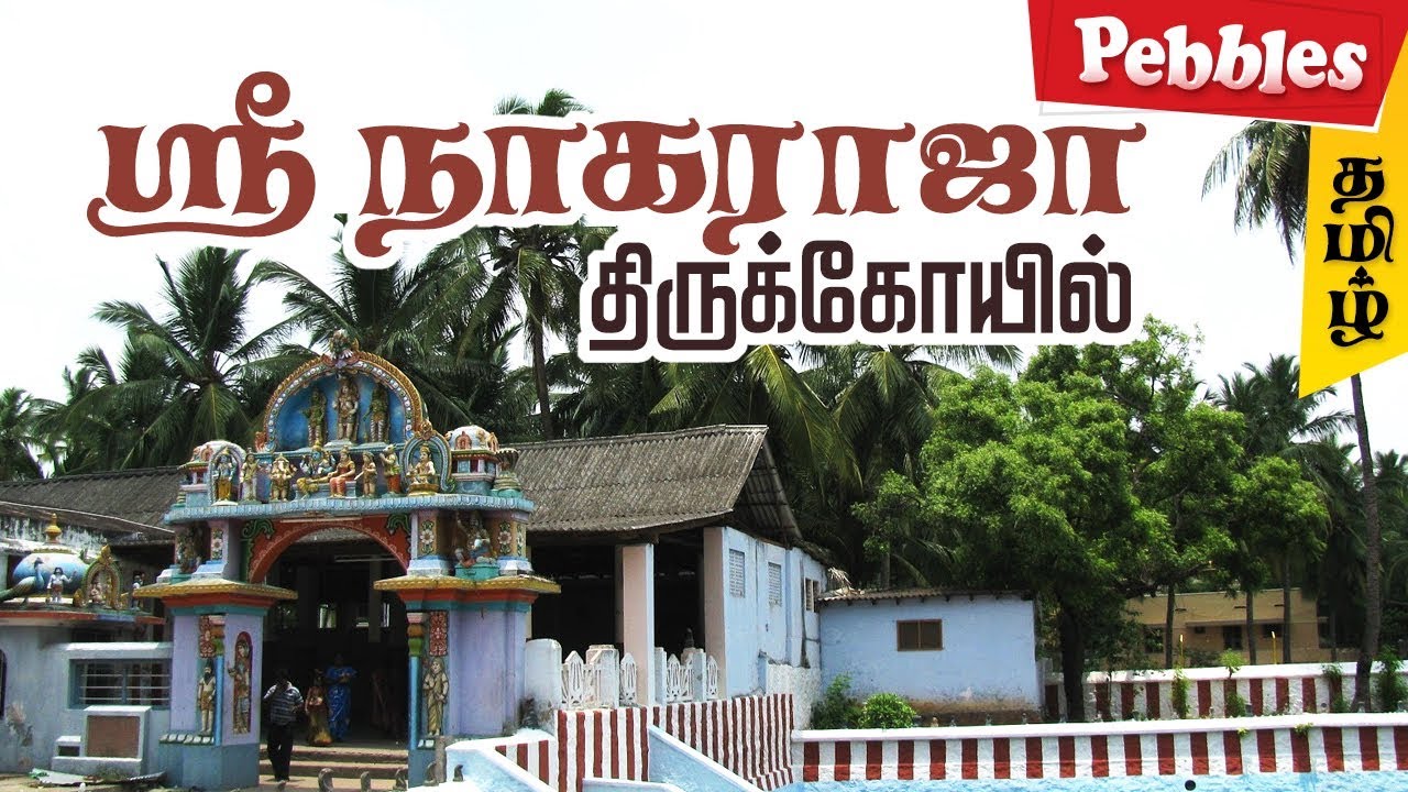 Sri Nagaraja Swami Temple Nagercoil Tamilnadu History of Nagaraja