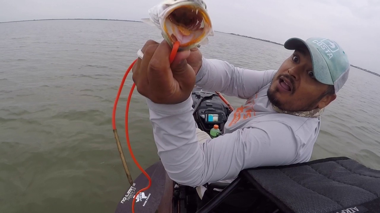 Corpus Christi Kayak Fishing Oso Bay Nov 12, 2016 YouTube