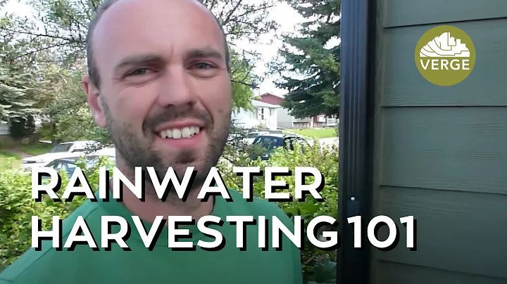Rainwater Harvesting 101