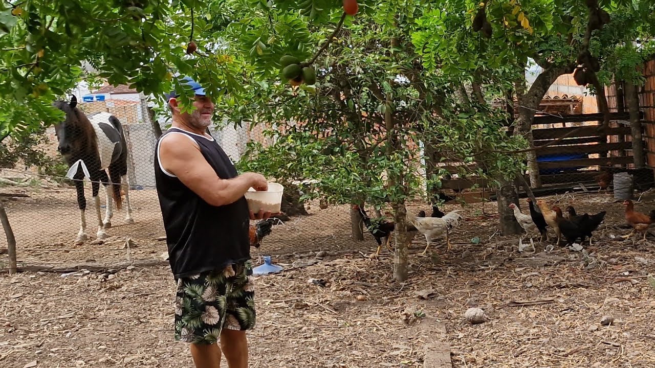 VANIO NA FEIRA DA TAQUARANA E NO CRIATORO DO JOÃO #NORDESTE 