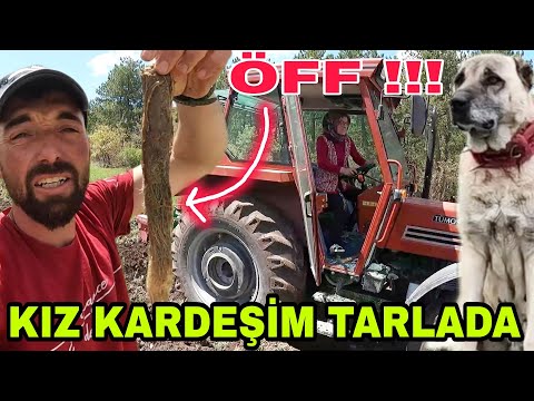 İŞLERE DÖRT EL~BABAM KARDEŞİM TARLADA~BEN PRENSES KOYUNDA!! ÇEŞMEYİ TIKAYAN DA NEYMİŞ??