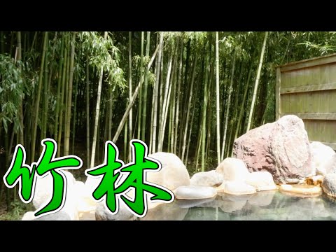 【温泉】竹林に囲まれた貸切露天風呂【奈良偲の里 玉翠（静岡県）】