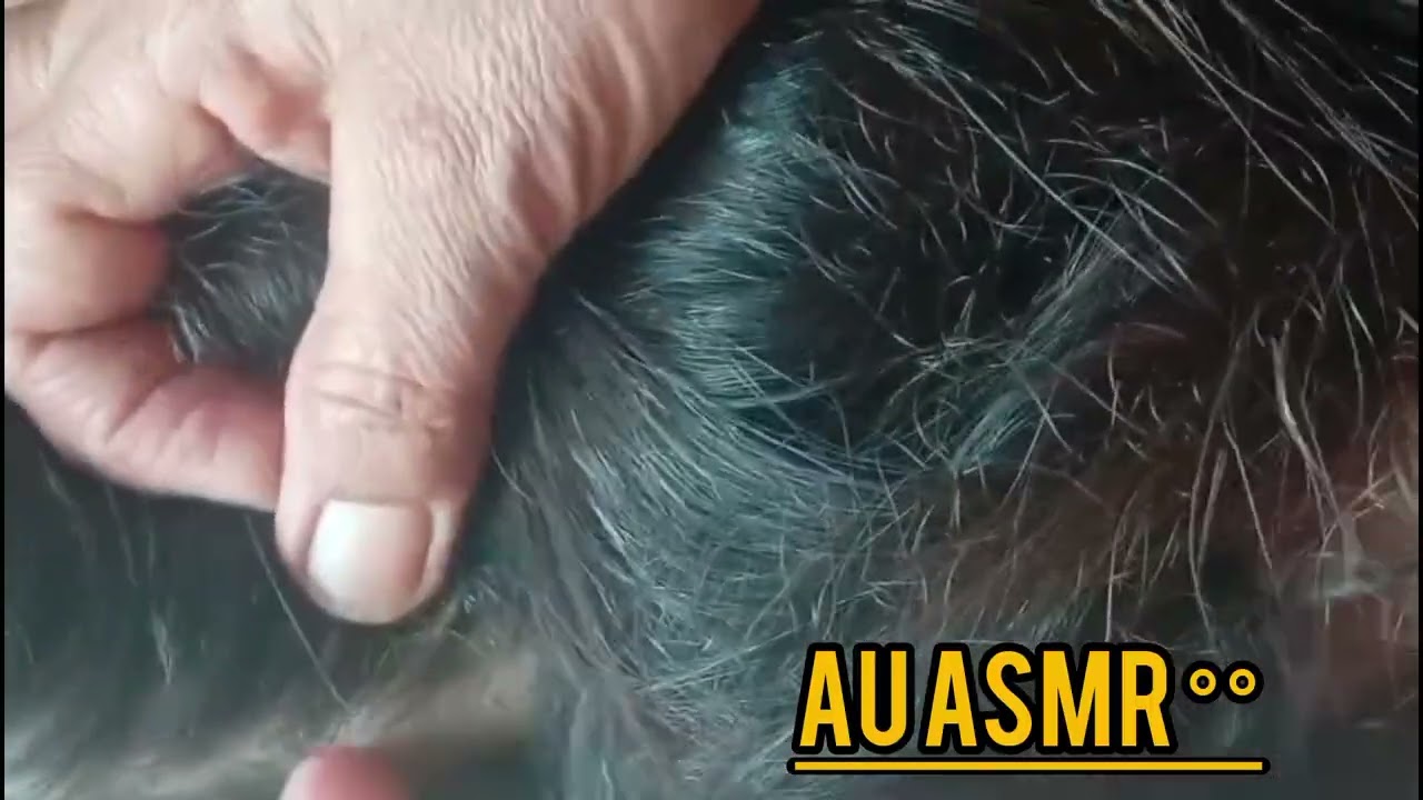 Daily routine checking nits picking|| Au ASMR