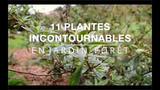 11 plantes incontournables (ou presque!) en Jardin-Forêt
