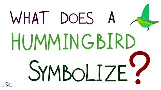 What Does It Mean When You See A Hummingbird?
