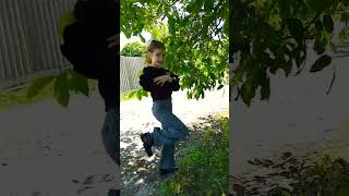 #shortvideo #глобальныерекомендации #dance #рек #pets #funny #youtube #love #cute #моякошка