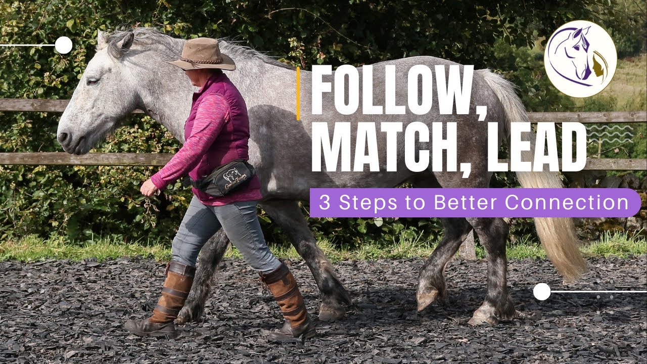 Follow, Match, Lead. 3 Steps to Better Connection - YouTube