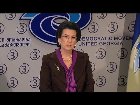 \"დემოკრატიული პარტიის\" ლიდერის ნინო ბურჯანაძის ბრიფინგი