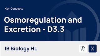 Osmoregulation and Excretion [IB Biology HL]