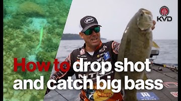 How to Drop Shot Fish Like a Pro | Kevin VanDam