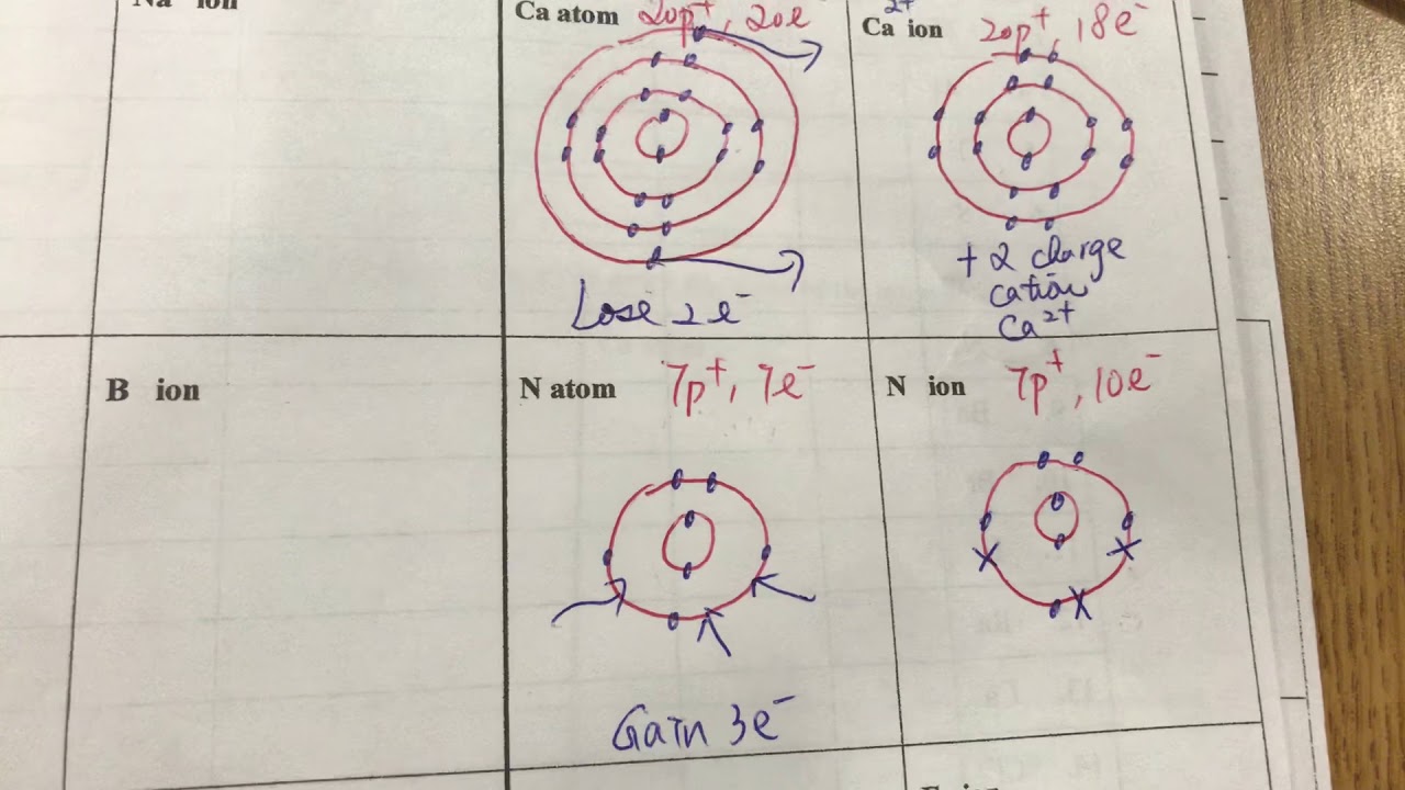 Cations and Anions