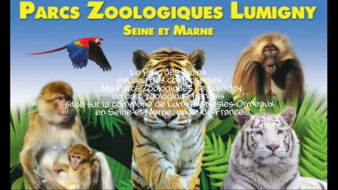 Parc des félins et des singes à Lumigny