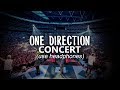 Watch this if you haven't been to a ONE DIRECTION concert (USE HEADPHONES)