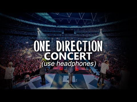 Watch This If You Haven't Been To A ONE DIRECTION Concert (USE HEADPHONES)