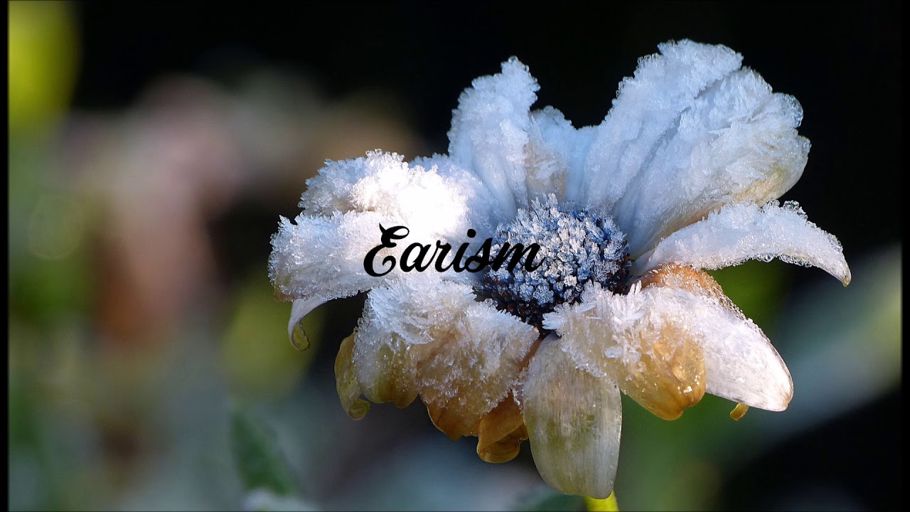 Cyrus - Love (Ft. Packy)