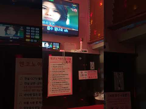 러브홀릭 인형의꿈 커버