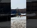 Snow day🐾😊 #goldenretriever #dog #funnydogvideos #dogshorts #cosmosgoldenlife