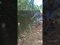 wow. found a hedgehog #shortviral #animals #nature