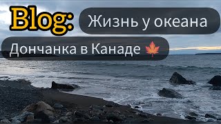 Атлантическая провинция Канады N&L. Большой остров Ньюфаундленд. Сент -Джонс. Вдыхаю океан и природу