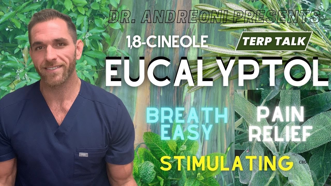 Eucalyptol - An Amazing Terpene