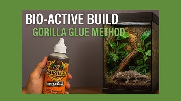 Gargoyle gecko bio-active Gorilla Glue method