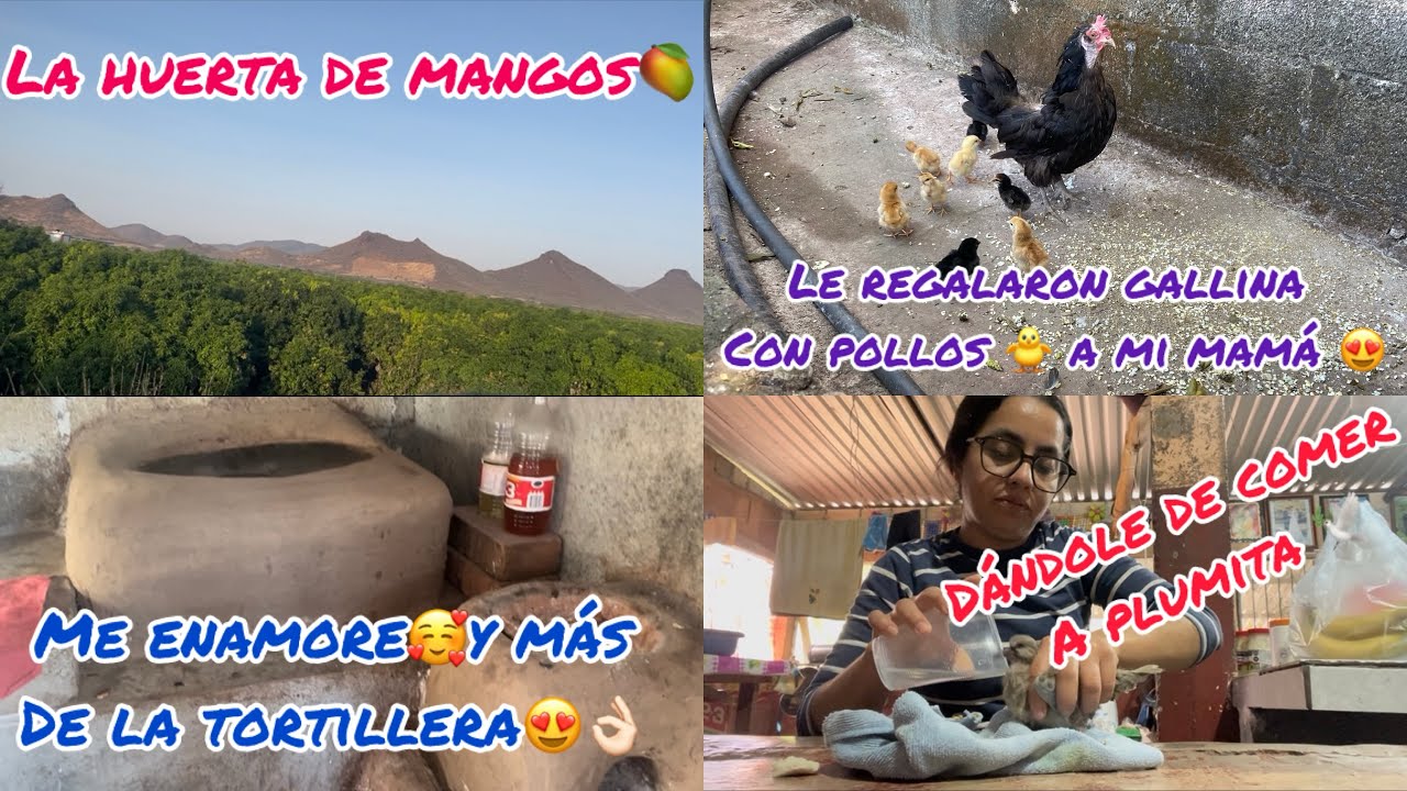 Fuismos a San Jose Por La Gallina Que Le Regalaron a Mi Mamá‼️Me Encantó La Cocina y La Tortillera😍