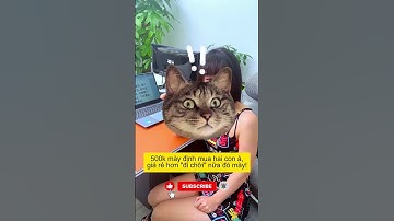 Chuột Nói Ra Chữ Siêu Rẻ, Đánh Máy Không Cần Tay! 😱